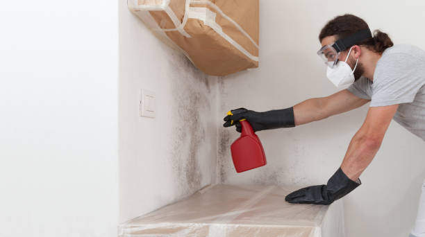 Professional Basement Mold Remediation technician working in Nottingham, MD