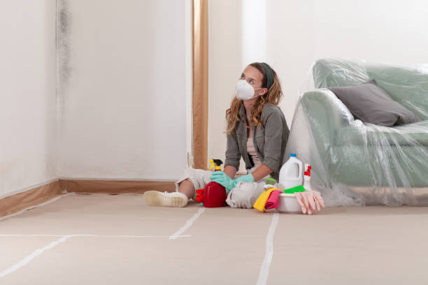 Reliable Basement Mold Remediation contractor in Nottingham, MD by WQB Mold Removal